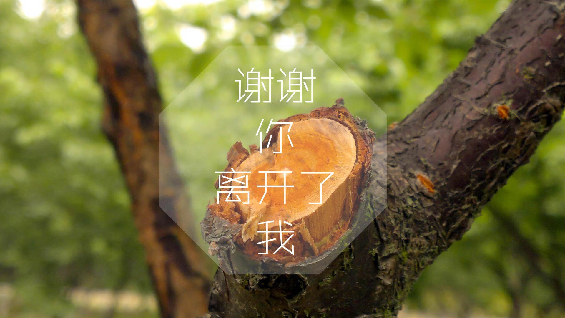 新疆队爆冷淘汰山东，晋级季后赛，新疆队对山东队直播